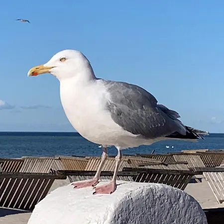 Fewo Lust Auf Laboe Exterior photo
